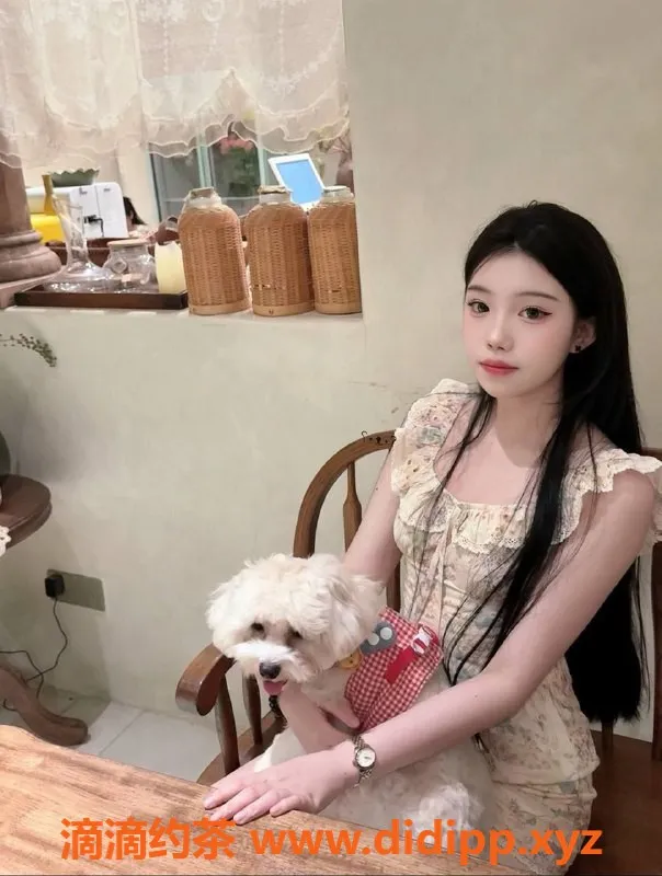 东莞楼凤资源信息,小豌豆 大朗 800/1600 元 高质服务