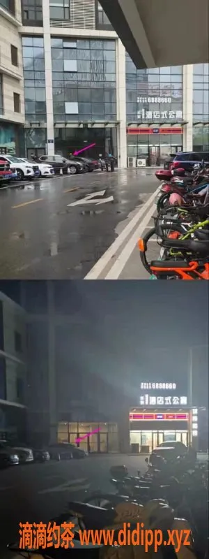 烟台楼凤-莱山区长安一号小鸥，性价比高的优质服务