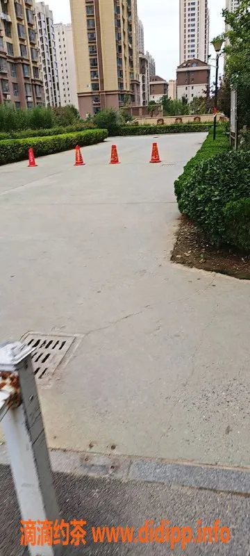 烟台楼凤-双向联系服务，满足你的需求