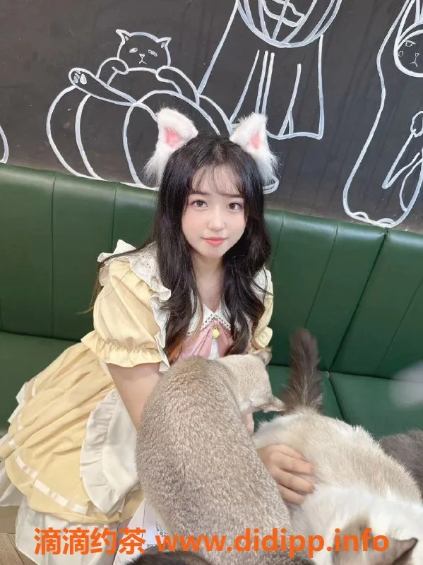 深圳楼凤资源信息,南山扛米，视频认证的绝对选择