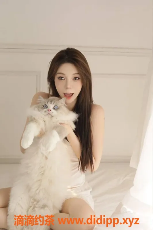 北京楼凤资源信息,朝阳新星云云，1500元甜美服务体验