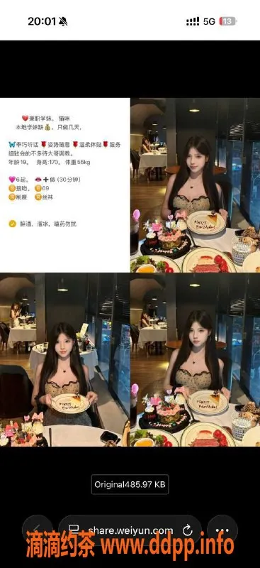 烟台楼凤-威海高区猫咪，出击精彩体验