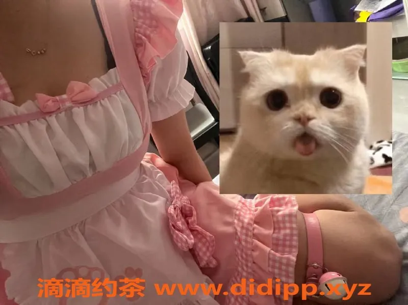 西安楼凤-西安小锦：18岁，167cm，36D，6p服务等你来体验！