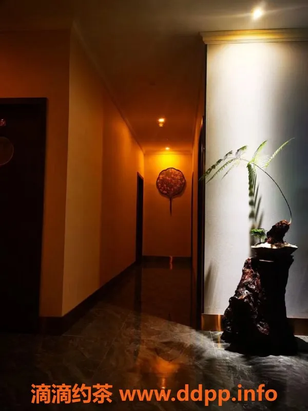 厦门spa会所资源信息,松柏店霜，按摩型服务499元，体验至上