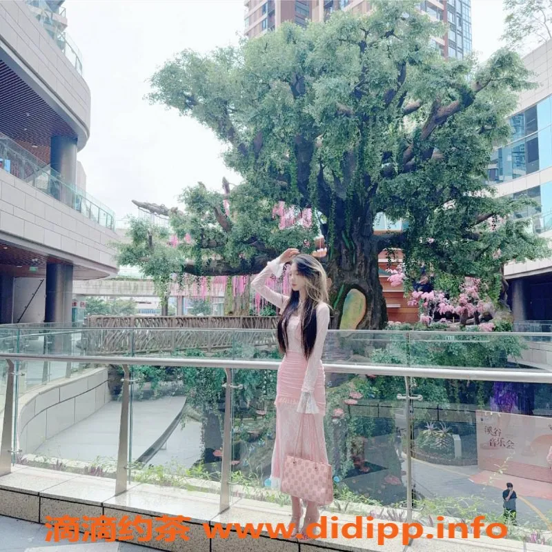 惠州楼凤资源信息,河南岸小小 06年C+优质服务