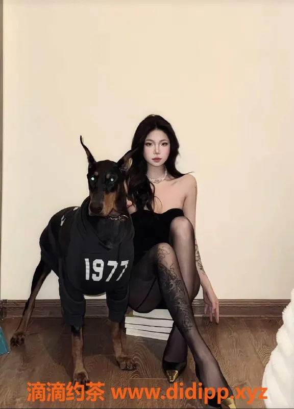 湛江楼凤-湛江小静，700元享优质服务