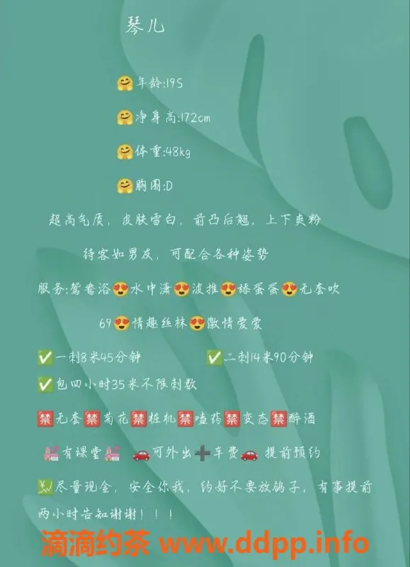 中山楼凤-中山石岐琴儿，价格800起，专业服务