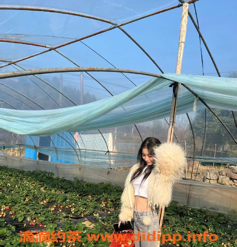 湛江楼凤-湛江柠檬，700元，7.5分好评陪伴体验