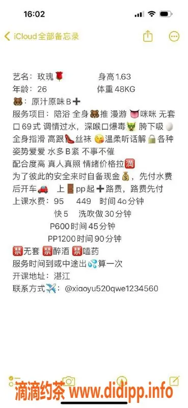 湛江楼凤-湛江玫瑰，600p超值享受