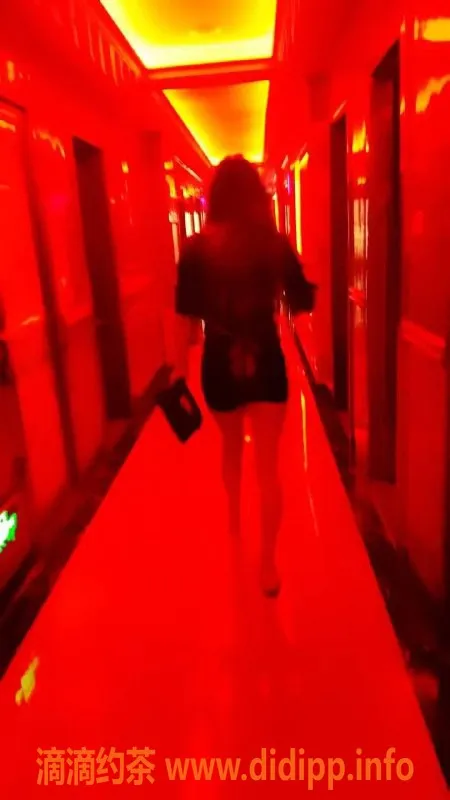 中山楼凤-拱北夏湾优质服务，免费停车过夜