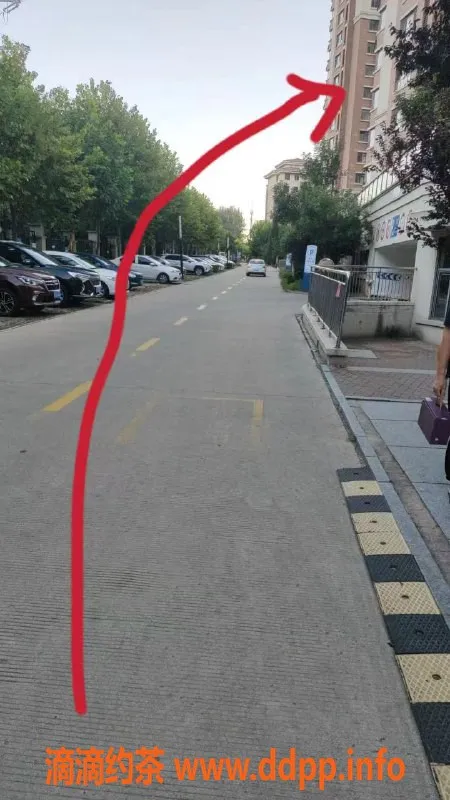 烟台楼凤资源信息,开发区乐乐，极致舒适体验！