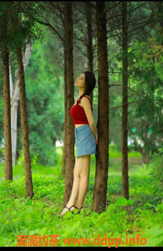 北京楼凤-朝阳婷婷，胸大服务好，实惠600P