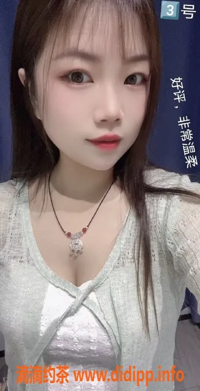 中山楼凤-中山古镇双人快餐体验，340元起