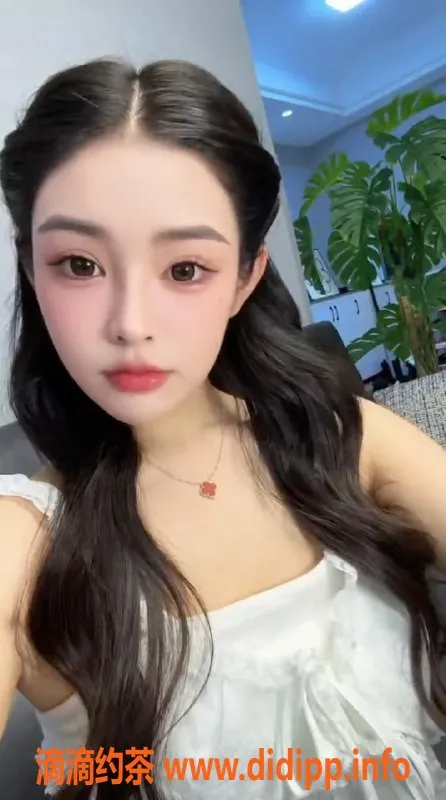 惠州楼凤-惠州咕咕23岁160cm，陪洗服务仅700元