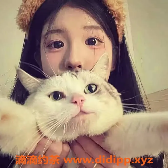 惠州楼凤资源信息,仲恺纯纯，160身高C罩杯，服务超赞