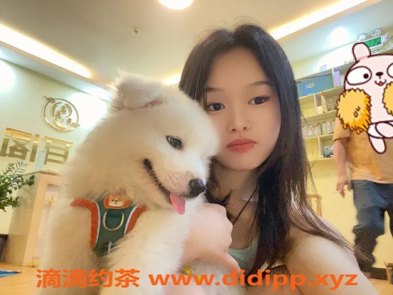 惠州抓龙筋资源信息,仲恺莎莎168元，热情周到服务，专业抓龙筋！