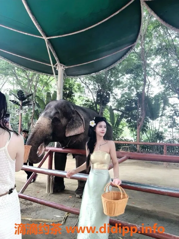 无锡楼凤-无锡03年奶迪迪，热情服务，真实体验