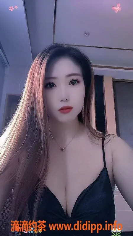 中山楼凤-中山东区小榄快餐服务，实惠舒适体验