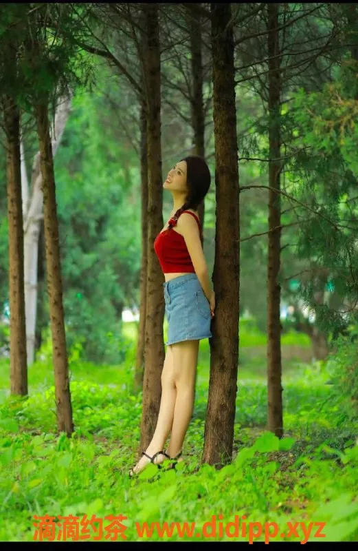 北京楼凤-朝阳婷婷，胸大服务好，实惠来袭！