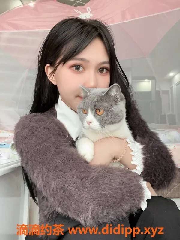 东莞楼凤资源信息,大朗雪梨，服务超贴心，价格实惠