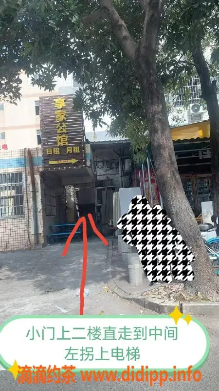 中山楼凤-江海地区四位小姐，为您提供优质服务