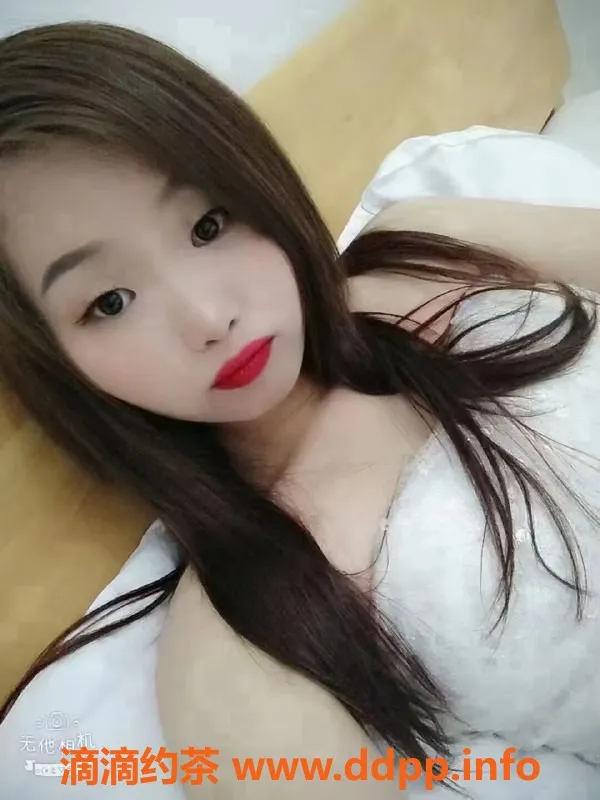 中山楼凤-中山小榄快餐服务，特价300元起！