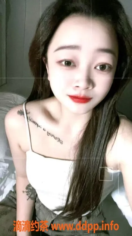 中山楼凤-东升优质快餐服务，650全套精彩体验