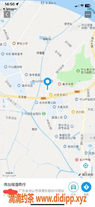 中山楼凤资源信息,埠沙地区美女服务，快餐300元起