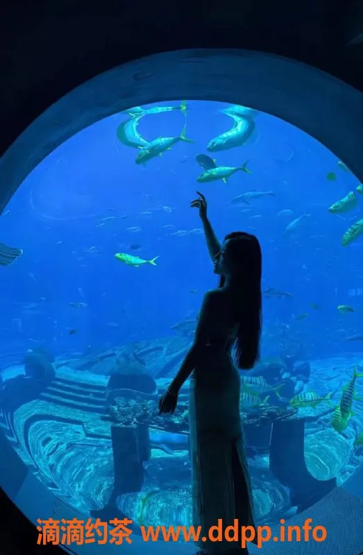 宁波楼凤-鄞州区柚子体验空姐，身材惹火