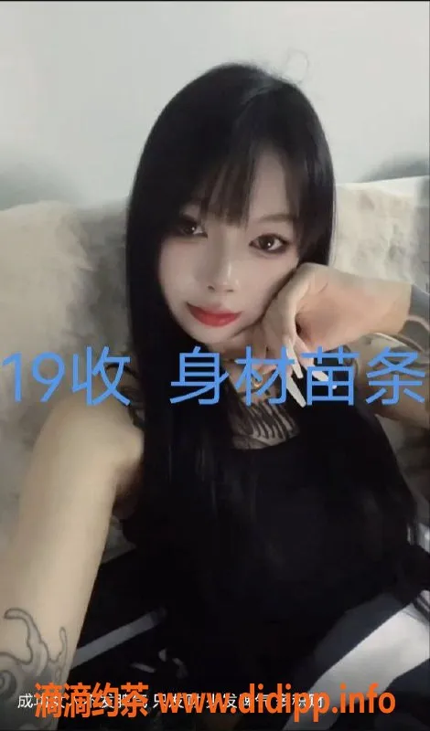 中山楼凤-中山小榄双人快餐，350元起