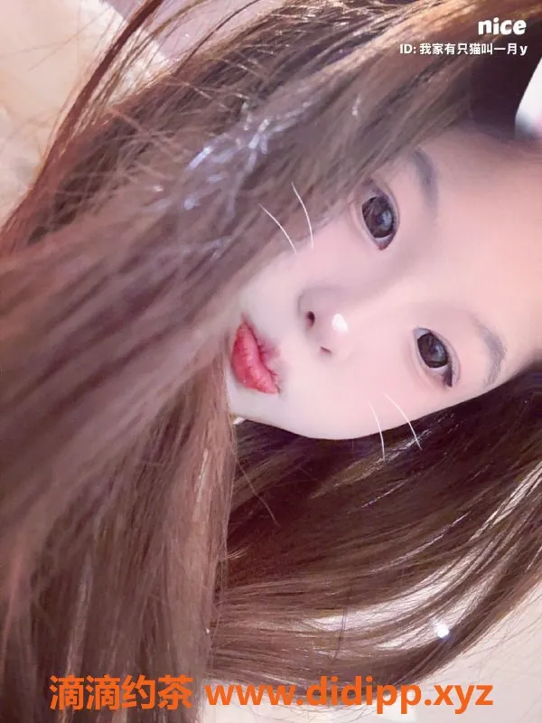 成都楼凤-成华区小不点妹子，身高155，颜值在线，服务推荐