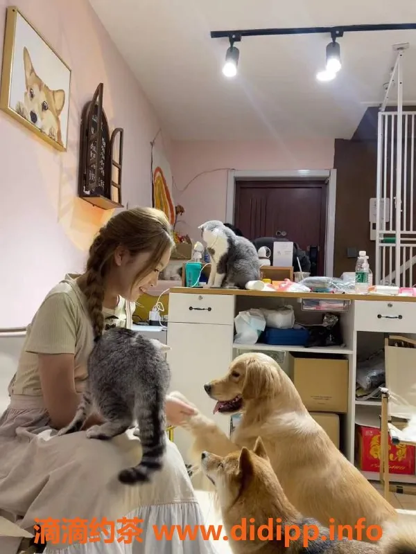 沈阳楼凤-沈阳奶茶｜700元优质服务等你体验