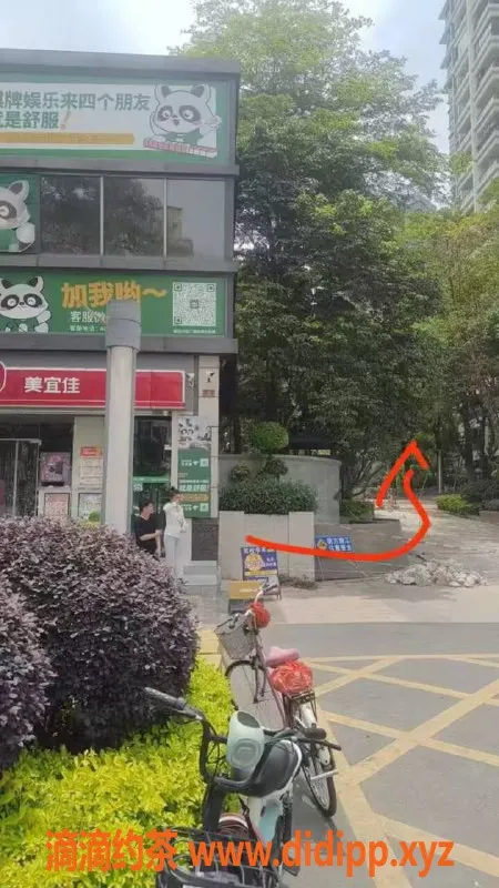 中山楼凤资源信息,板芙新晋美女 300元快餐服务超值体验