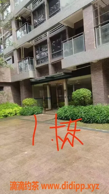 中山楼凤-板芙新晋美女 300元快餐服务超值体验