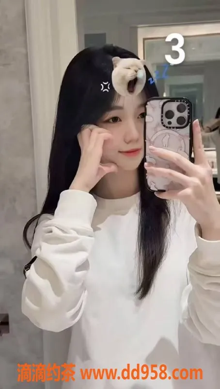 中山楼凤-中山古镇极品双作，超值快餐服务