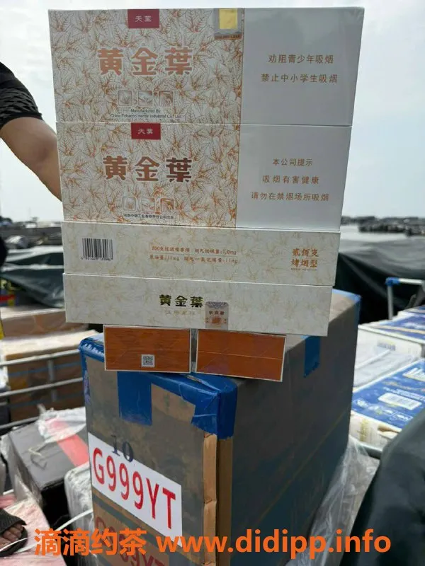 沈阳楼凤资源信息,小六：香烟免税专员，服务一流，态度超好