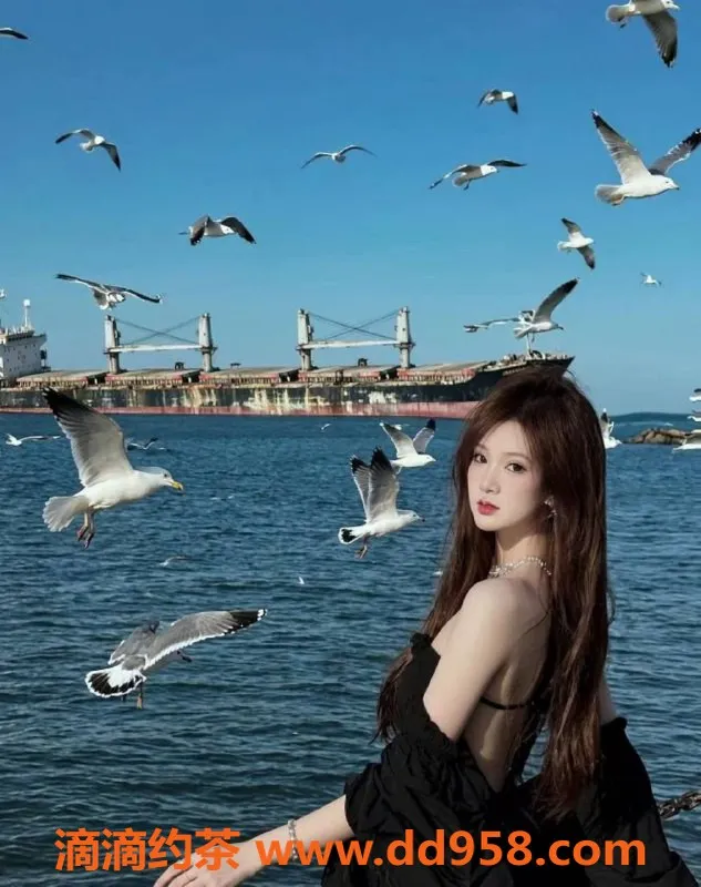 沈阳楼凤资源信息,小七，身材出众，服务超赞，800元体验