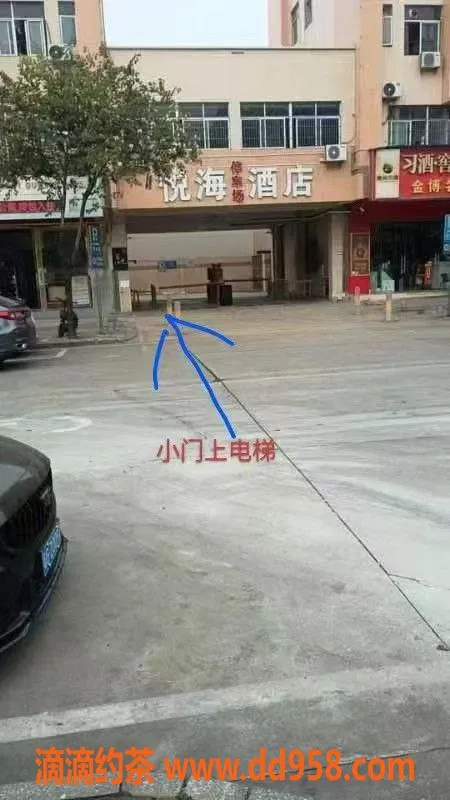 中山楼凤资源信息,江门江海洗吹做，超值快餐服务体验