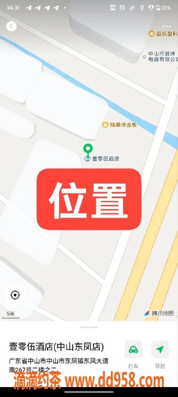 中山楼凤-中山东凤洗吹服务，价格实惠只需500