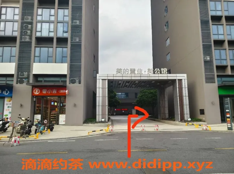 中山楼凤-顺德大良3位小姐，热情服务300元起