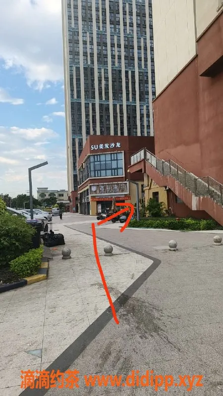 中山楼凤-顺德杏坛3位美女，快餐300元起！