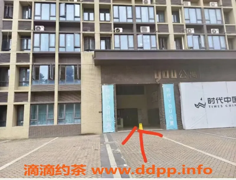 中山楼凤-顺德容桂 3位美丽小姐 300快餐服务