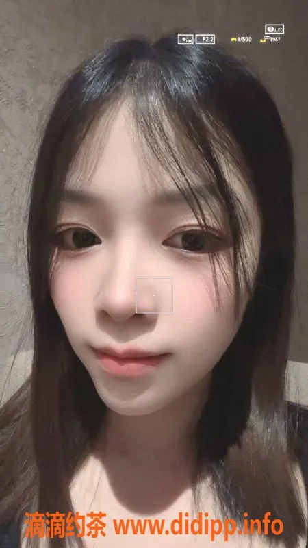 中山楼凤-石岐优秀服务，300元快餐体验