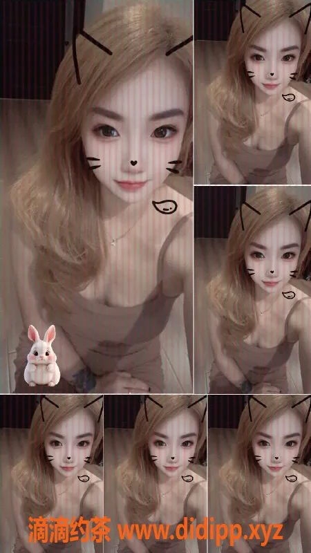 沈阳楼凤-猫猫，身材完美，服务超棒，仅需500元