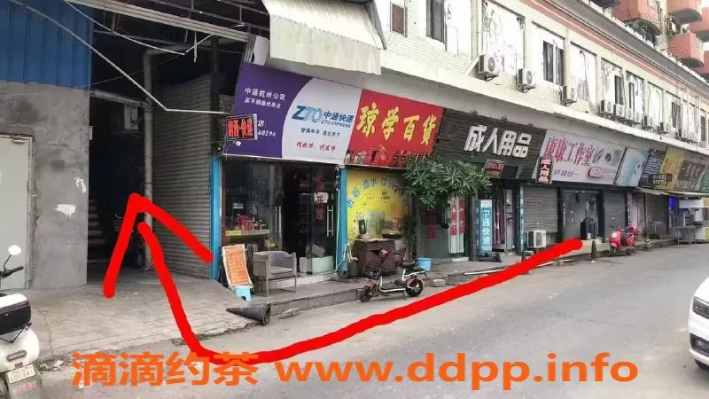 中山楼凤资源信息,中山三角地区优质服务 300元起