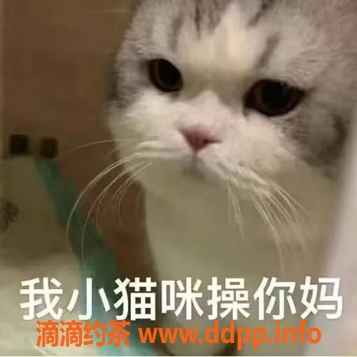 长沙楼凤-长沙蛙蛙老师，白虎嫩妹，注意安全！