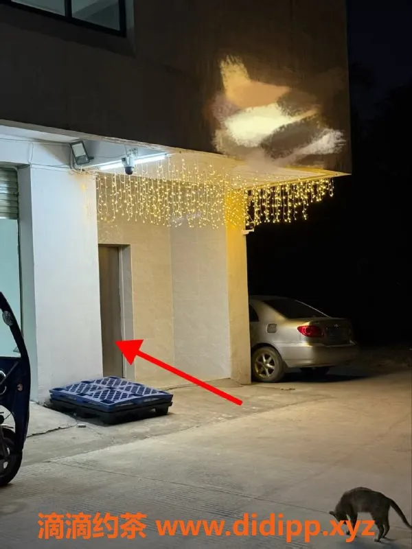 中山楼凤资源信息,中山西区美眉，300快餐400洗吹做，性感迷人