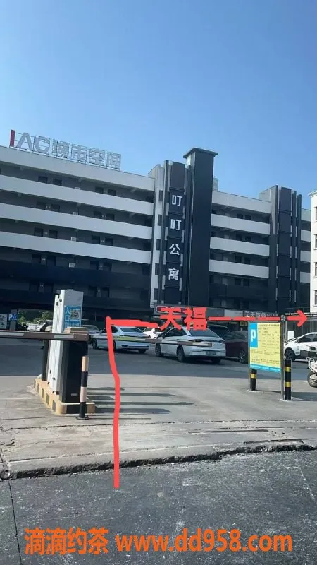 中山楼凤资源信息,中山小榄优质服务，350快餐体验佳