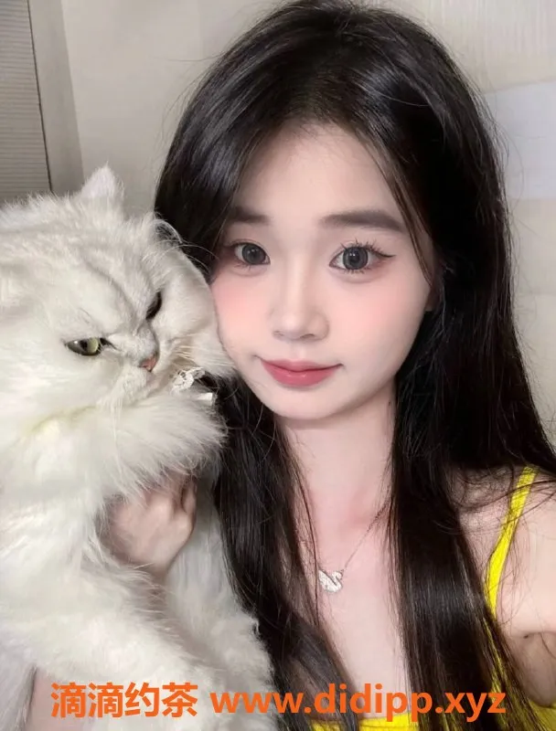 中山楼凤资源信息,东区苏苏 20岁 34B身材 服务价格700/1400