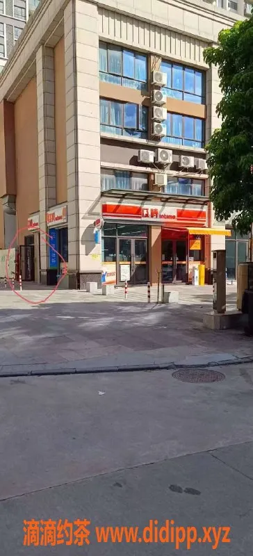 中山楼凤-中山东区小榄优质服务，300快餐尽享乐趣